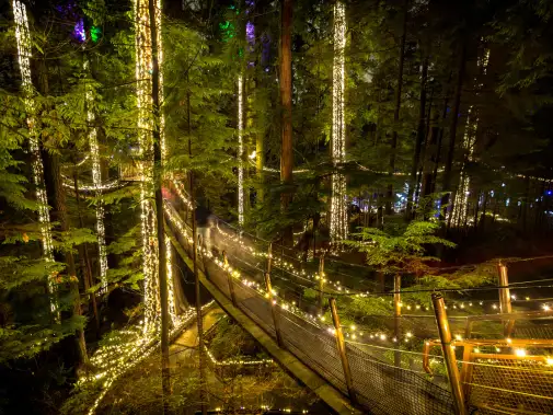 istock-1124669325-capilano-suspension-bridge.jpg
