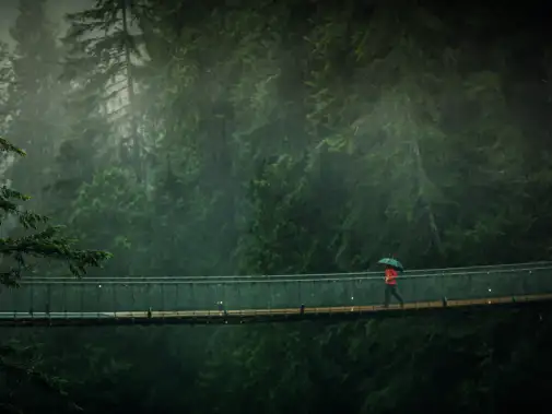 istock-1264188547-capilano-suspension-bridge.jpg